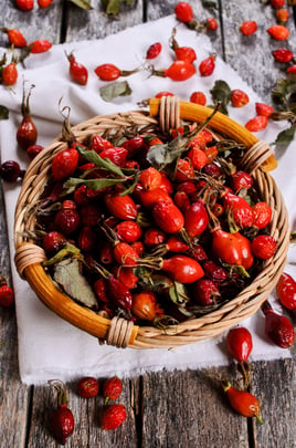 November_Rosehips_Recipe